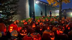 Pumpkin Walk (Upcycle your Jack-O-Lantern) November 1 pumpkin walk